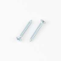 custom non standard blue zinc carbon steel security self tapping screw